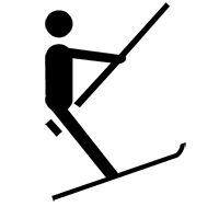 teleski logo